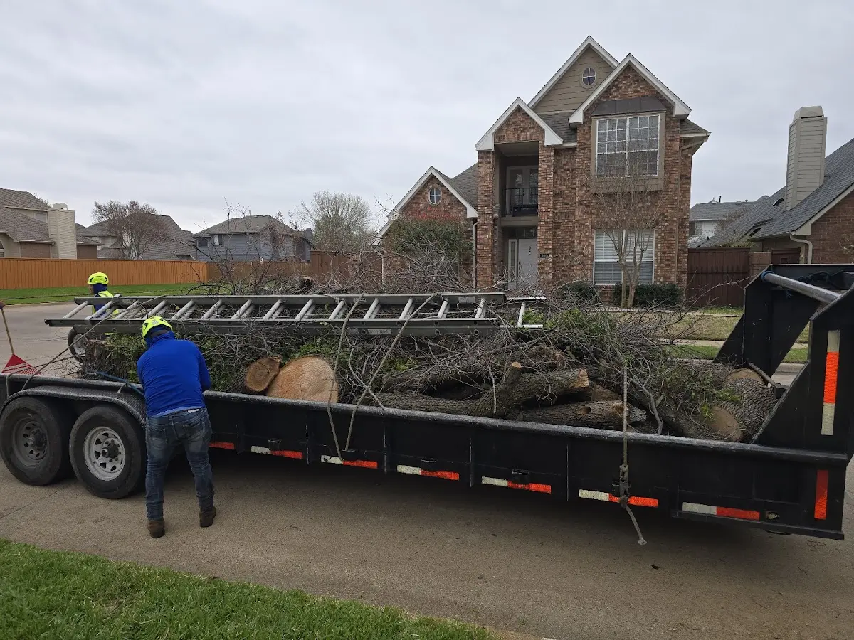 Expert Crown Reduction with proper safety equipment in Natchez